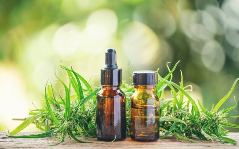 Cannabis Medicinal: Descubra os Benefícios do Canabidiol Permitido pelo STJ.