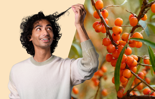 BASF inova no mercado de cuidados capilares masculinos com o lançamento do Aloversil™